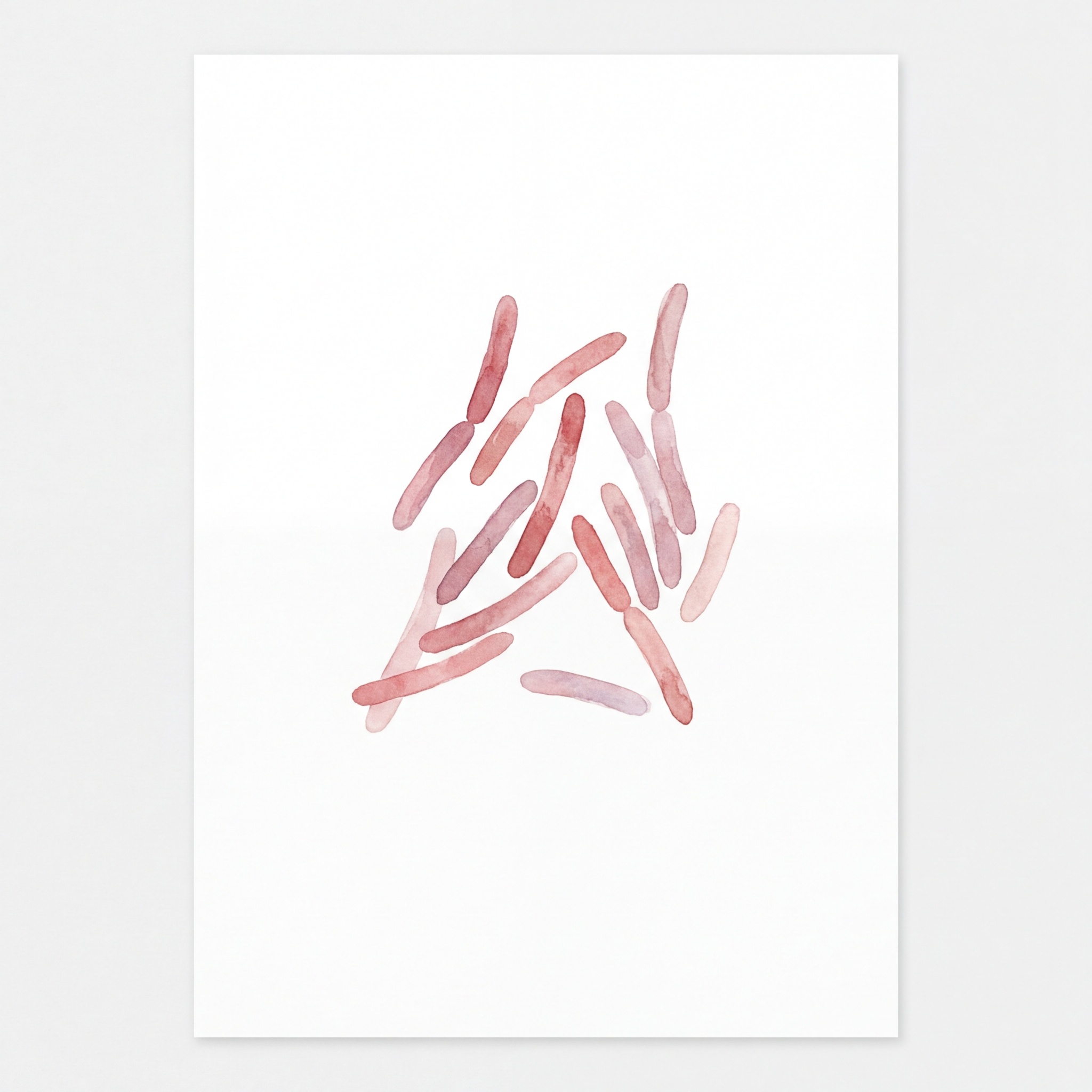 Mycobacterium tuberculosis scientific illustration